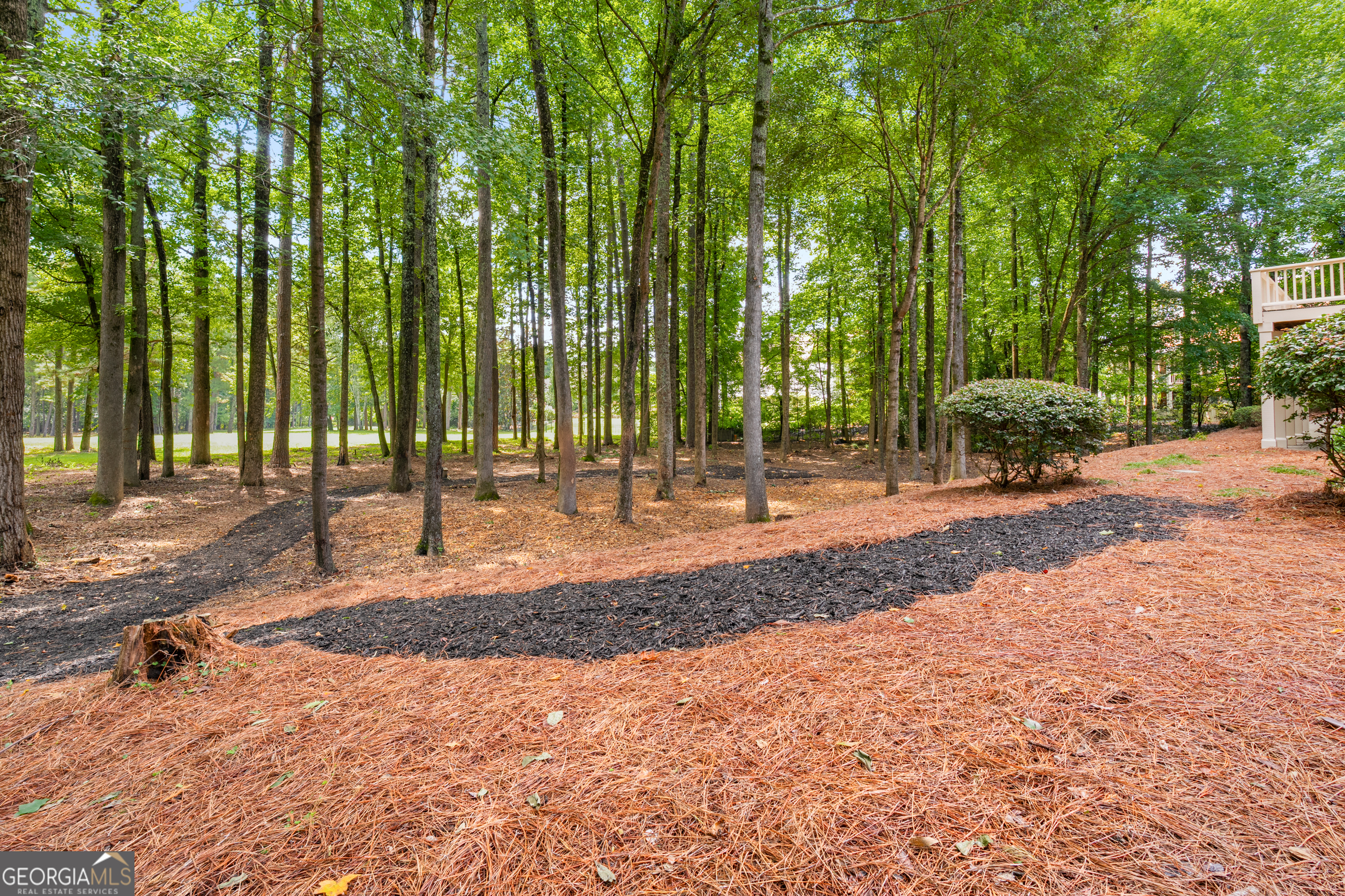 790 Vista Bluff Drive