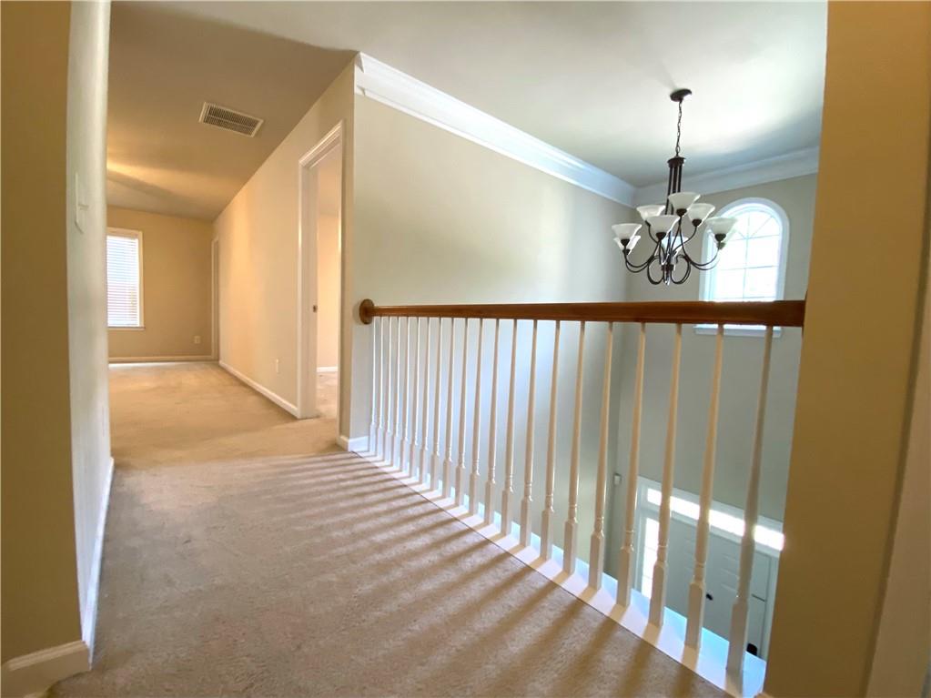 509 Rutlidge Park Lane
