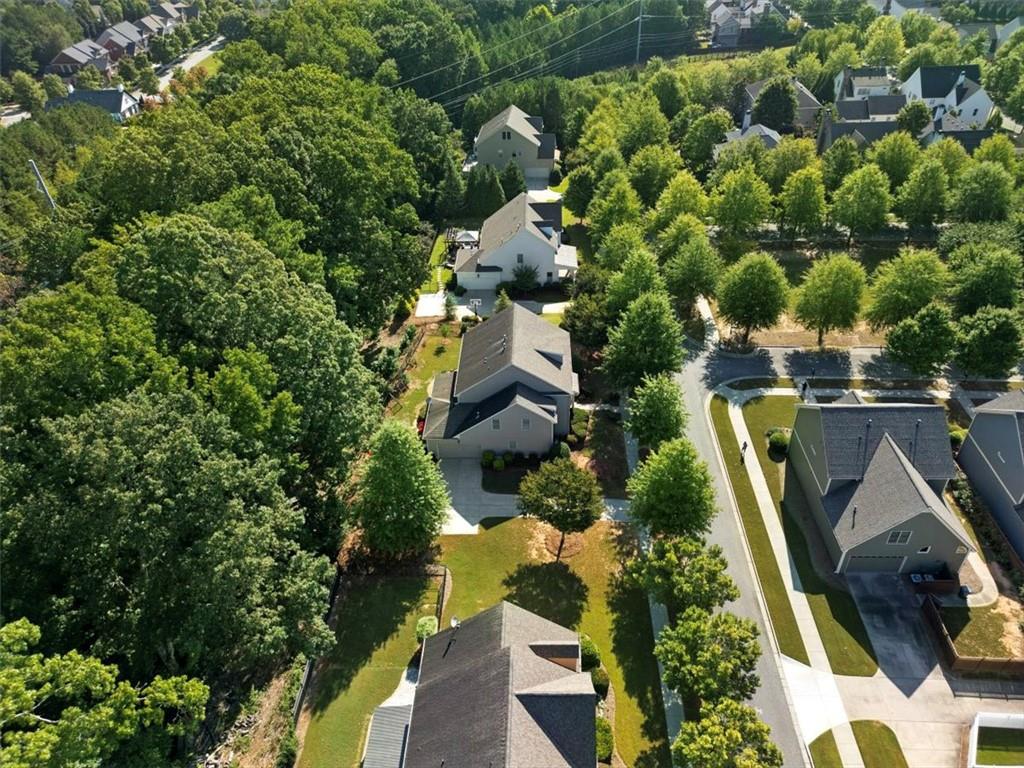 462 Tensas Trace