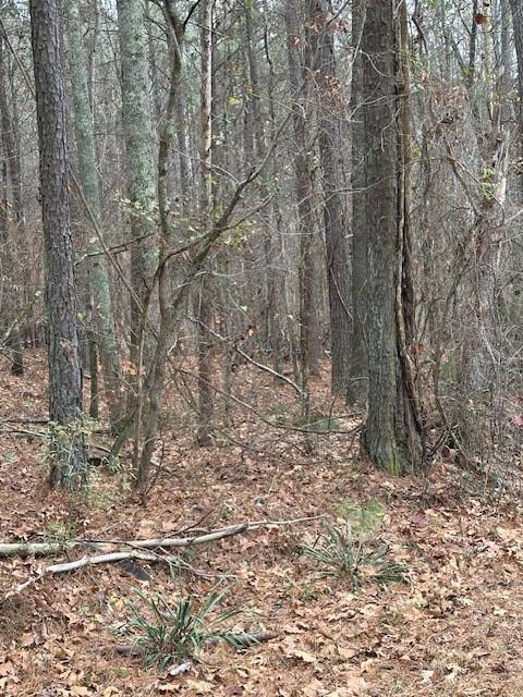 0 Cole Lake Road