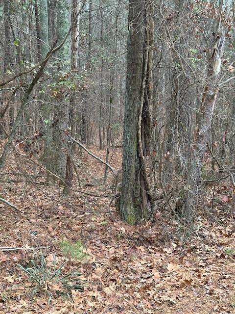 0 Cole Lake Road