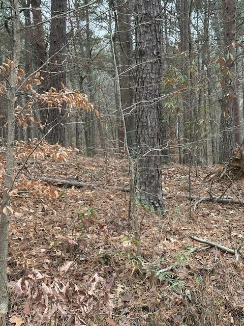 0 Cole Lake Road