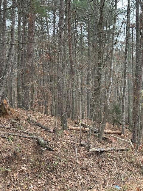 0 Cole Lake Road