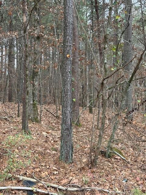 0 Cole Lake Road