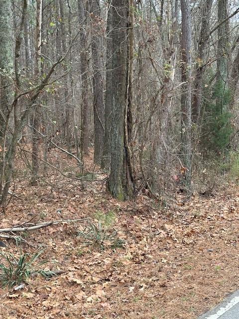 0 Cole Lake Road