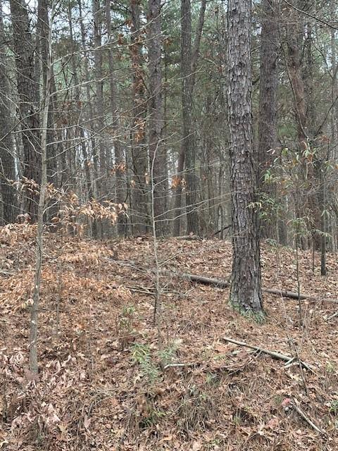 0 Cole Lake Road