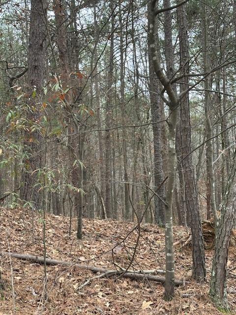 0 Cole Lake Road