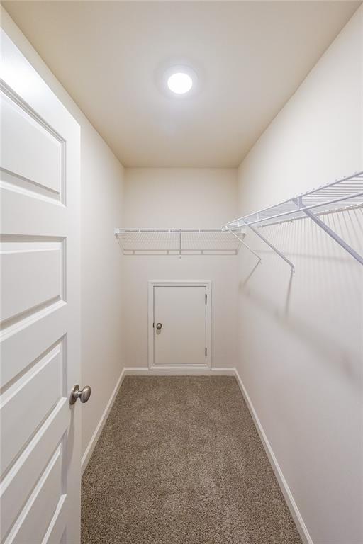 335 Grey Swan Way