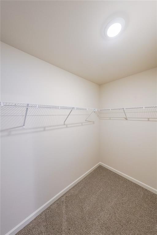 335 Grey Swan Way