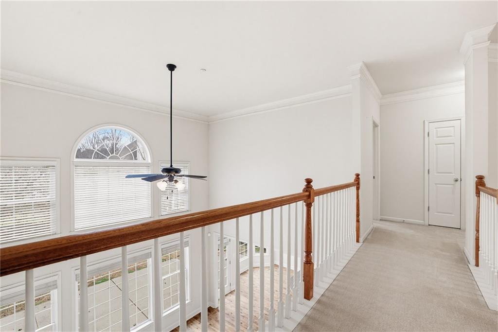 436 Cherry Tree Lane