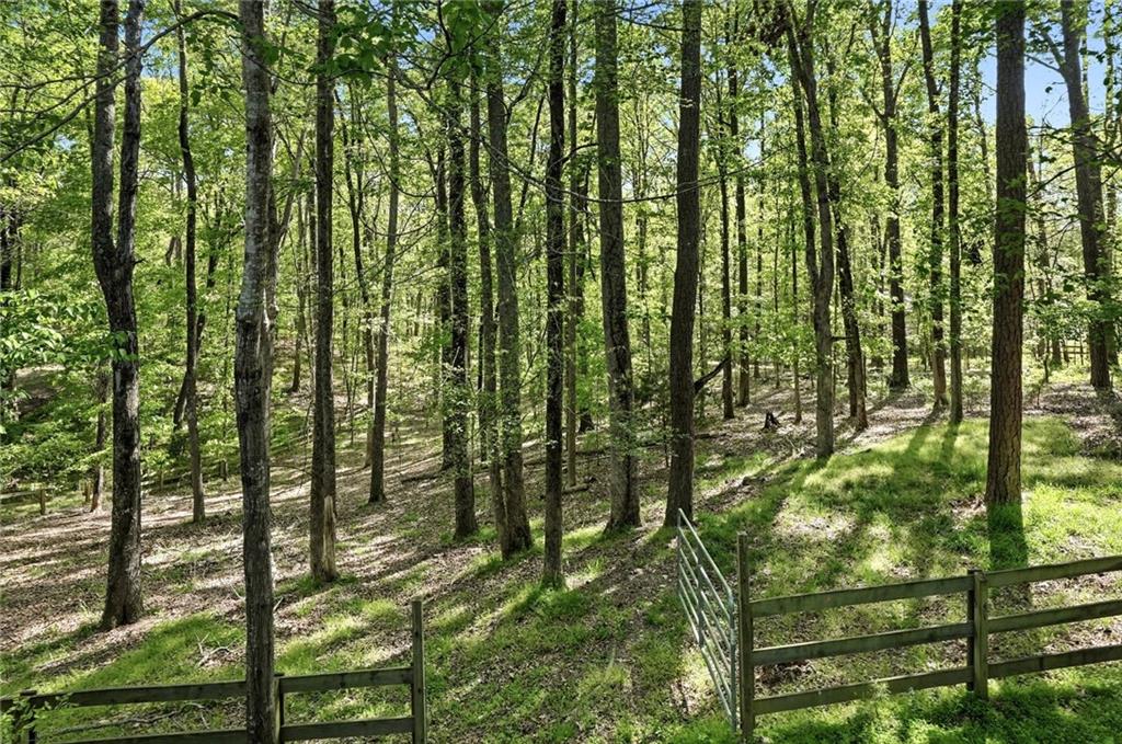 13770 Birmingham Highway