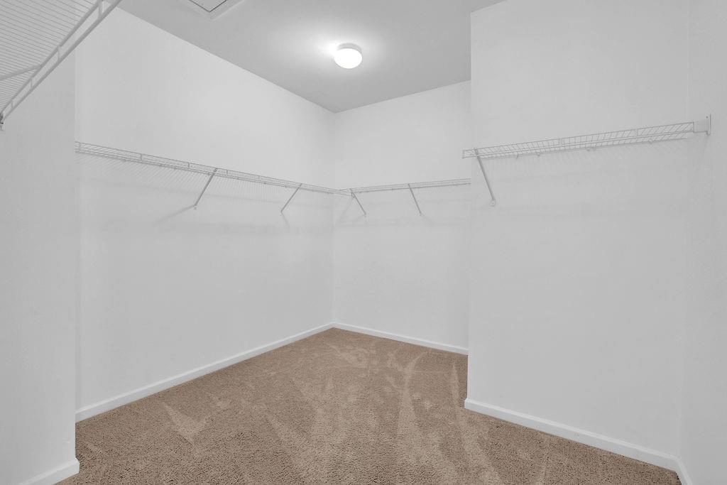 221 Ellis Lane