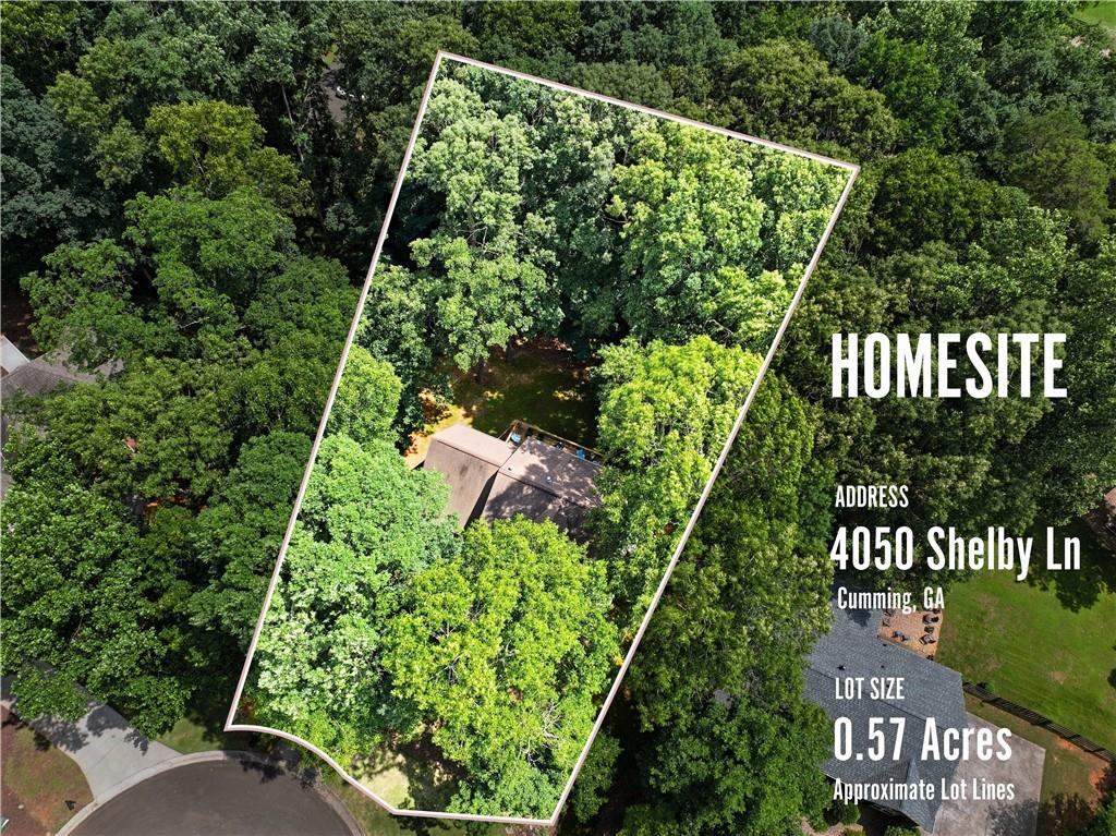 4050 Shelby Lane