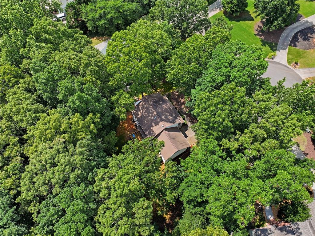 4050 Shelby Lane