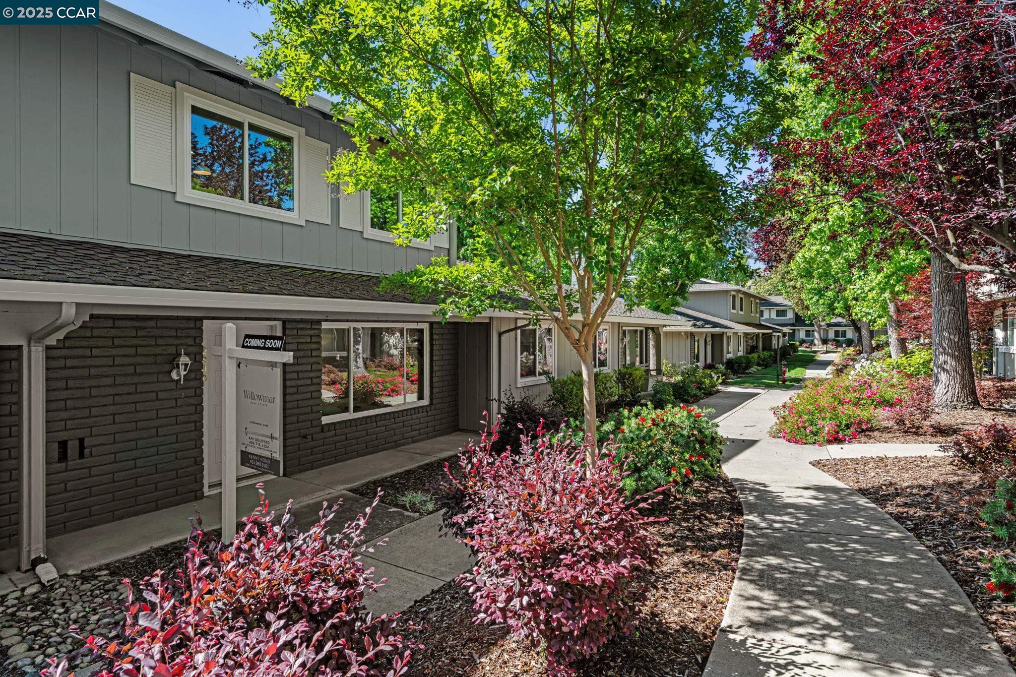 2809 Fountainhead Dr
