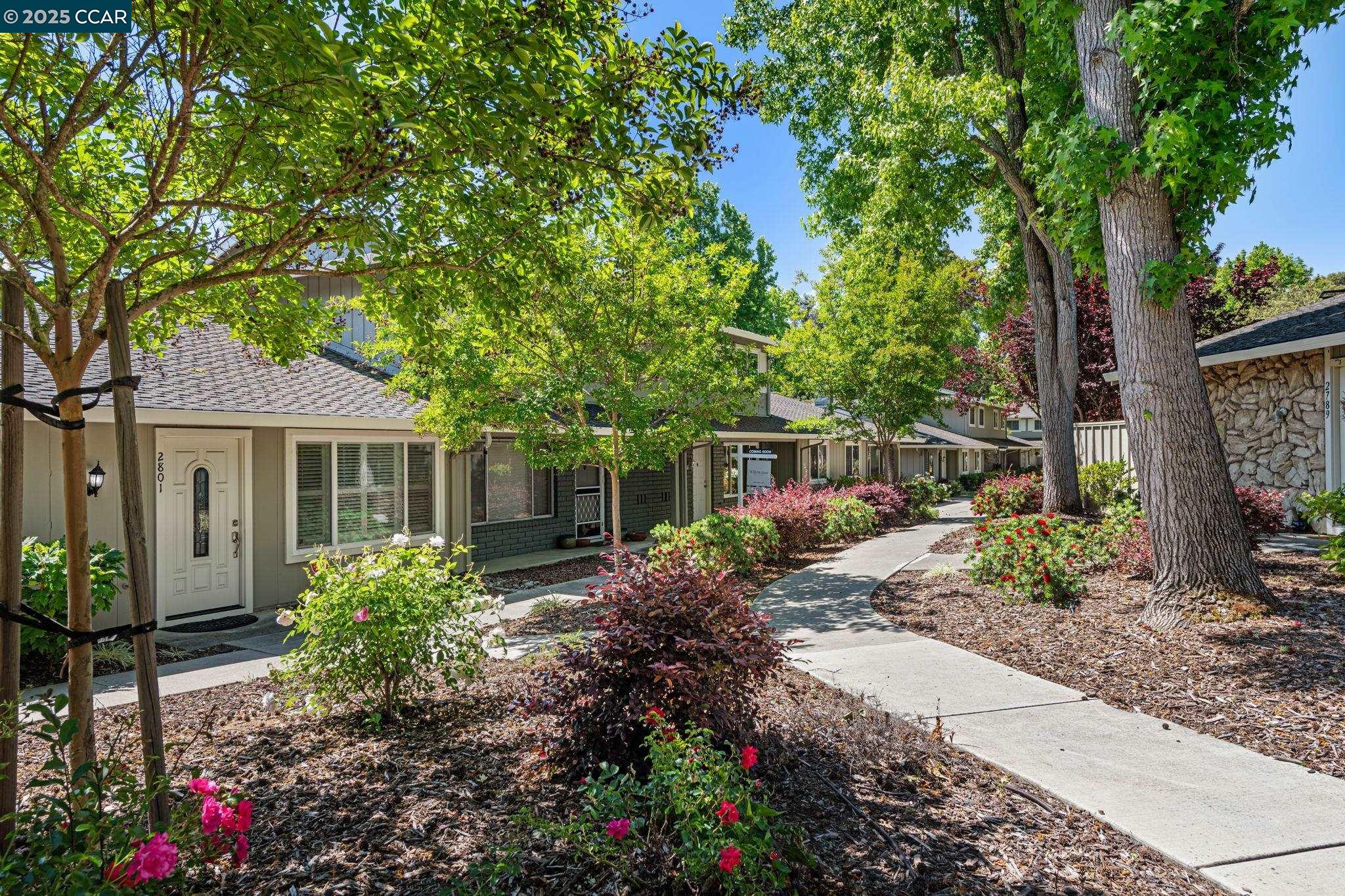 2809 Fountainhead Dr