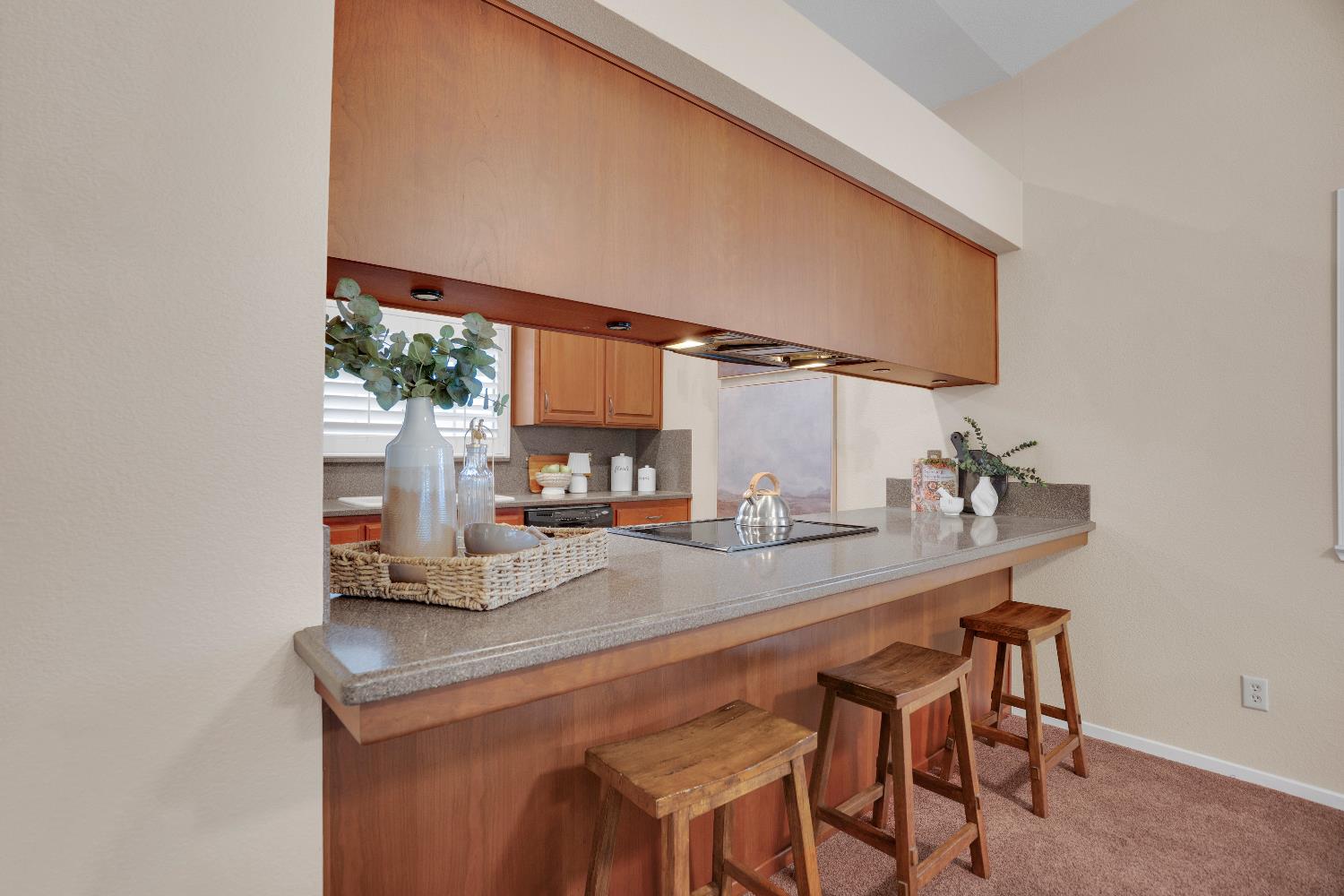 580 Shawn Vines Avenue