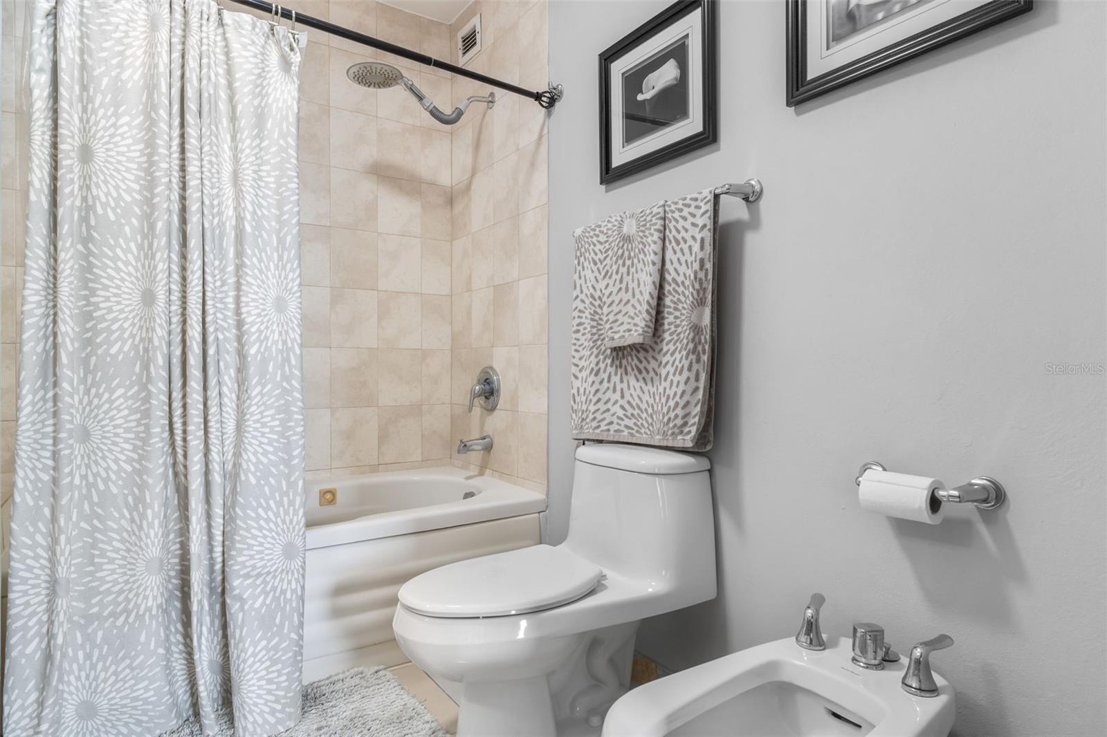 576 ARTERIAL B #2504