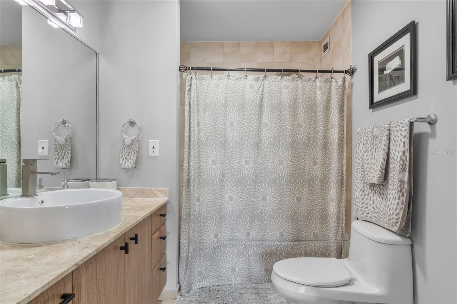 576 ARTERIAL B #2504