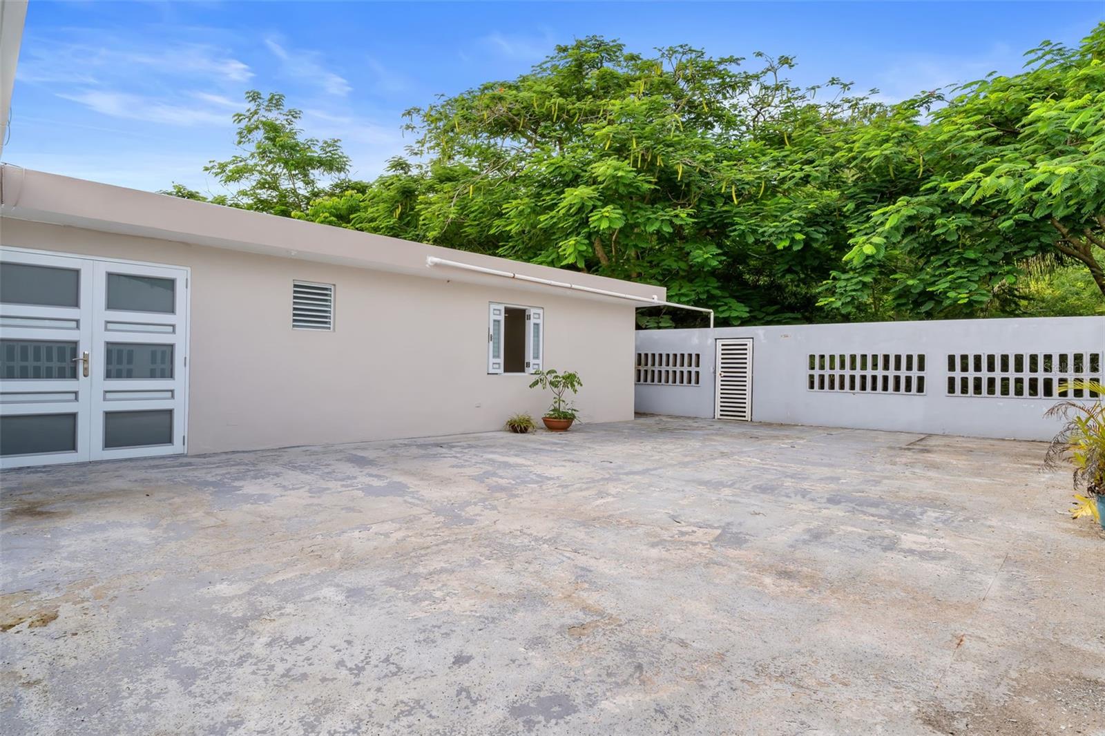 Almendro LOS COLOBOS PARK #AA27