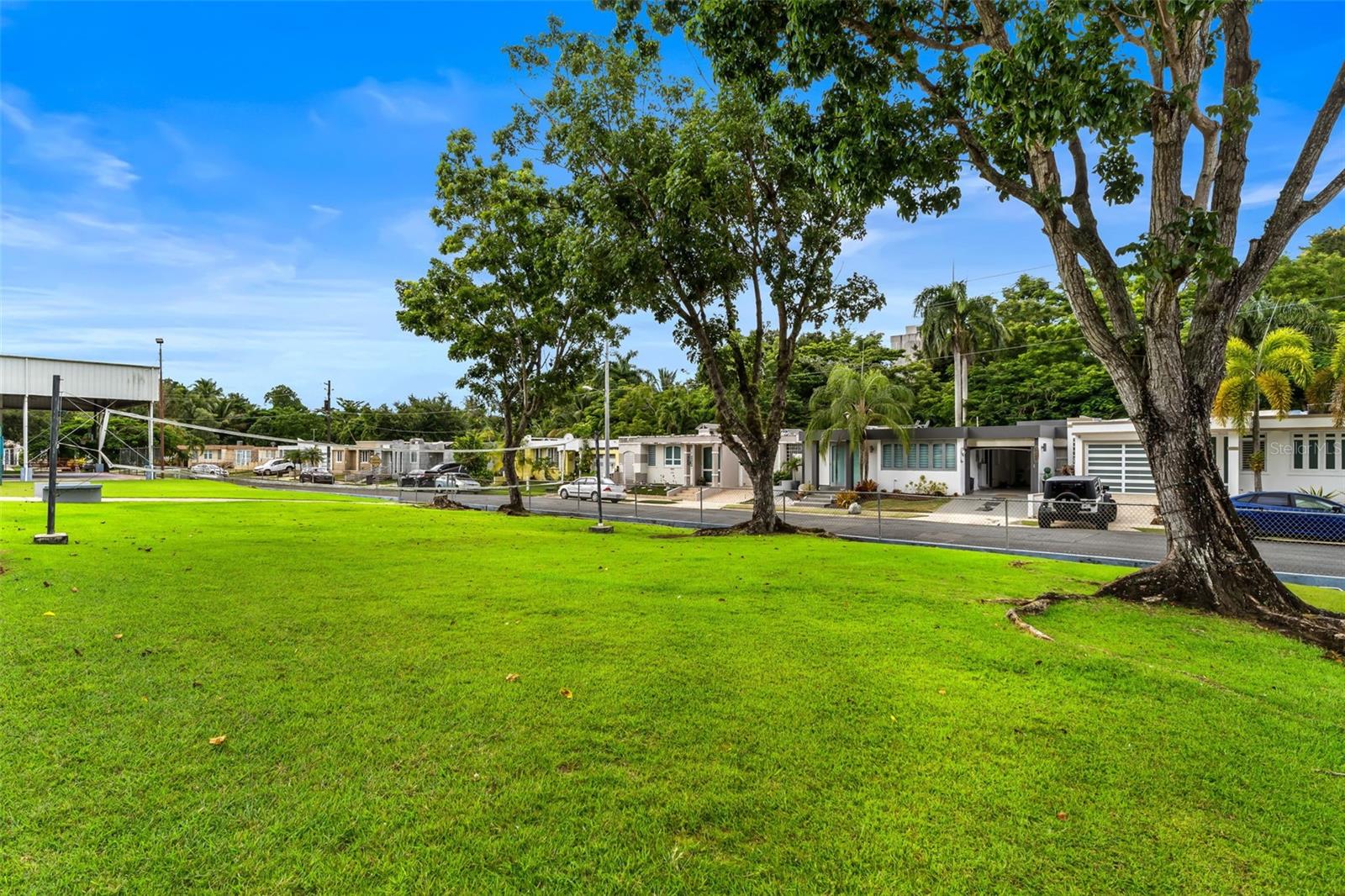 Almendro LOS COLOBOS PARK #AA27