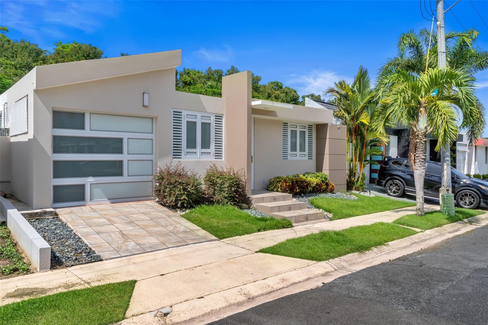 Almendro LOS COLOBOS PARK #AA27