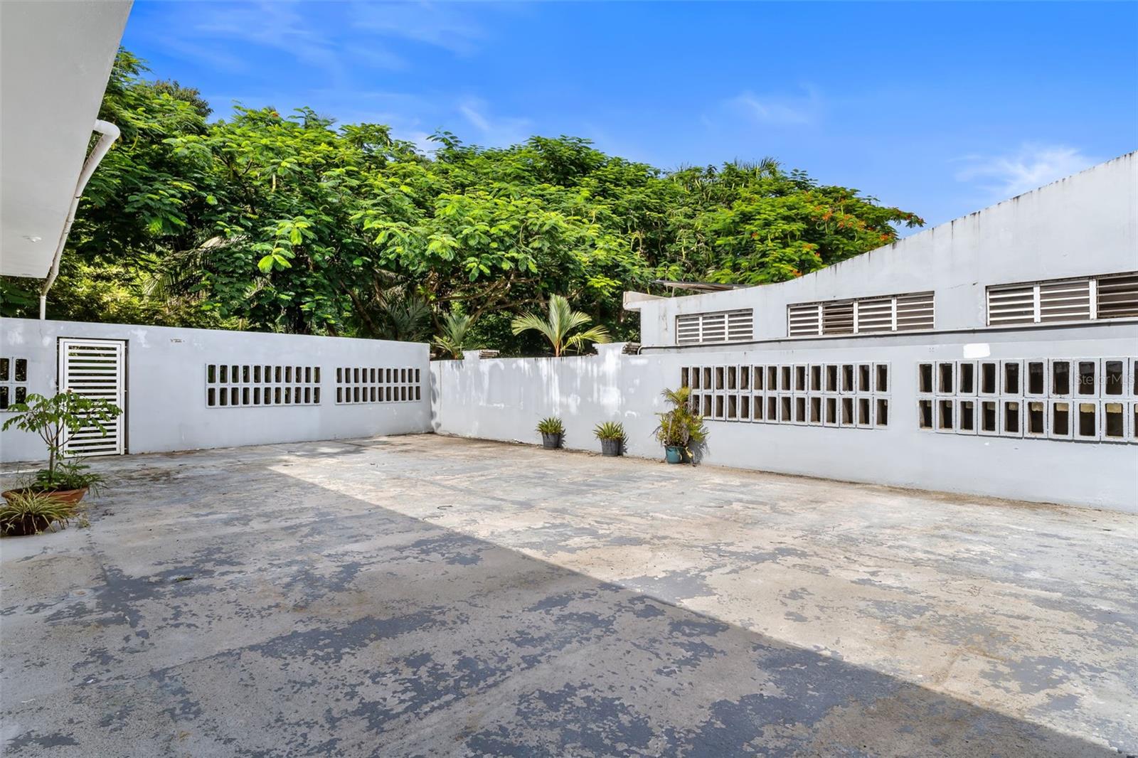 Almendro LOS COLOBOS PARK #AA27