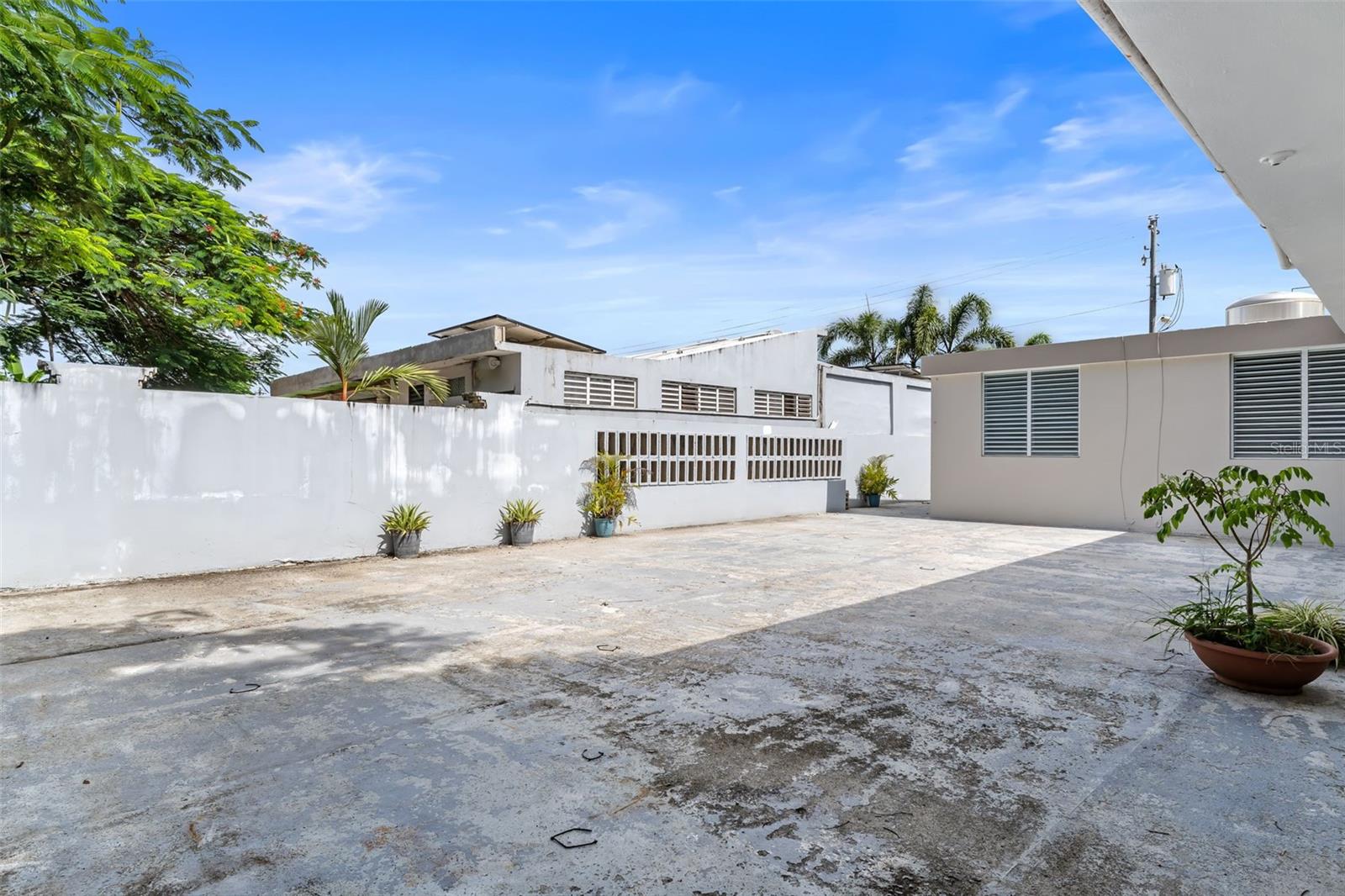 Almendro LOS COLOBOS PARK #AA27