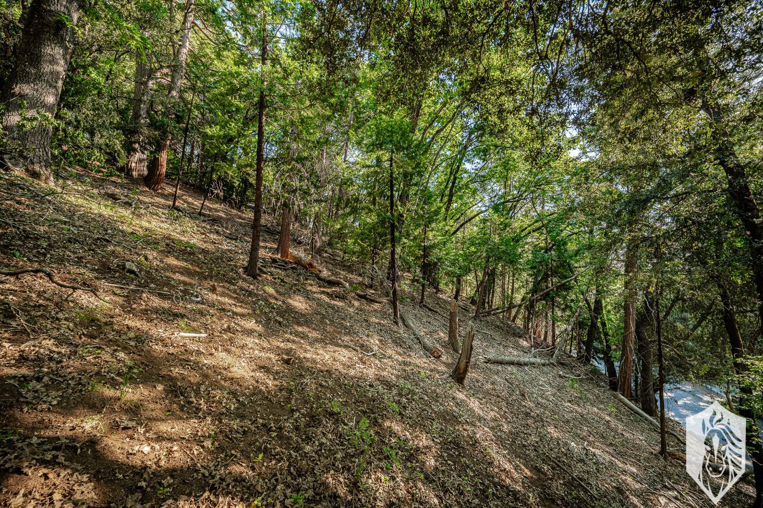 23475 Ontario Drive