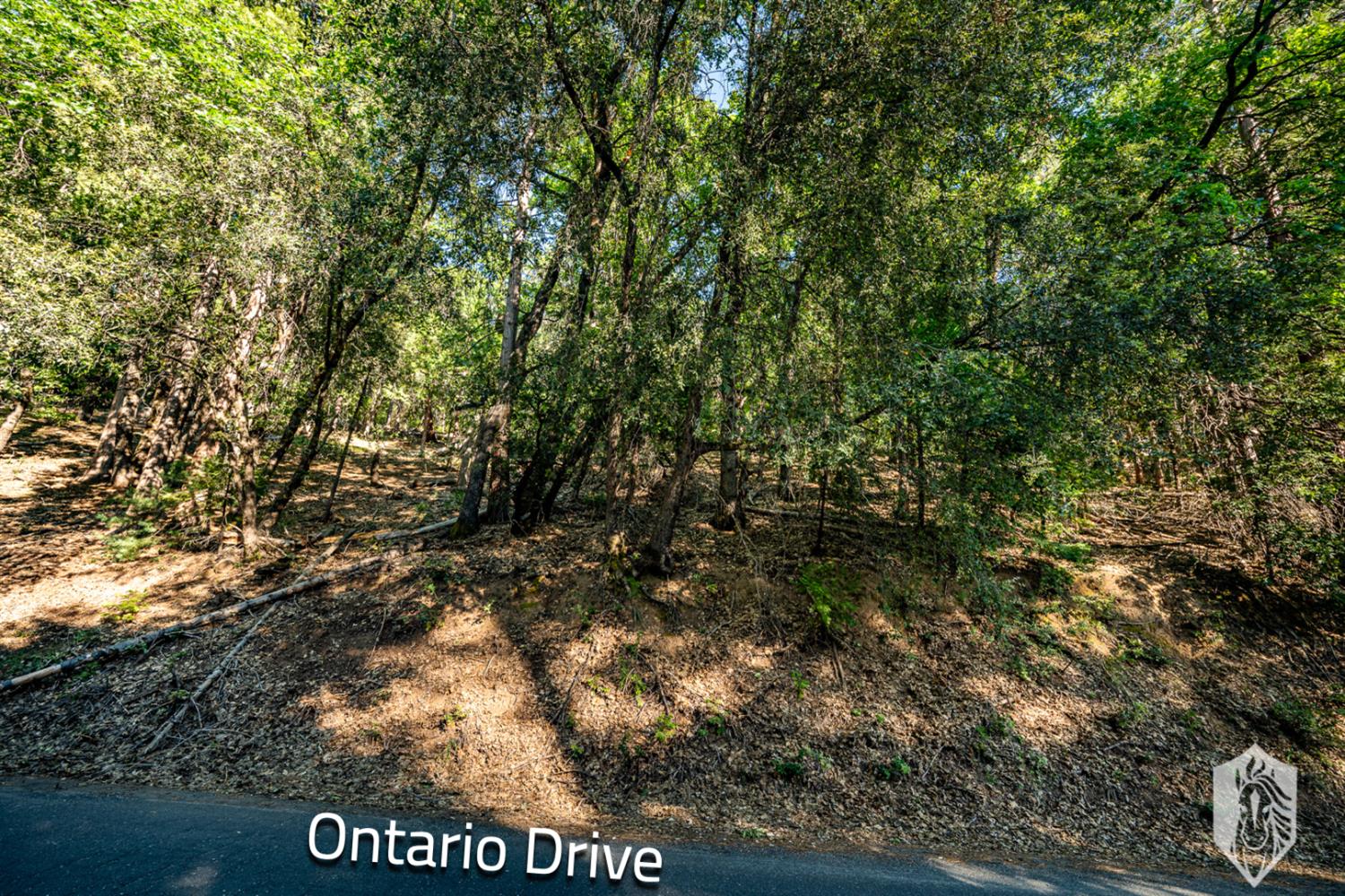 23475 Ontario Drive