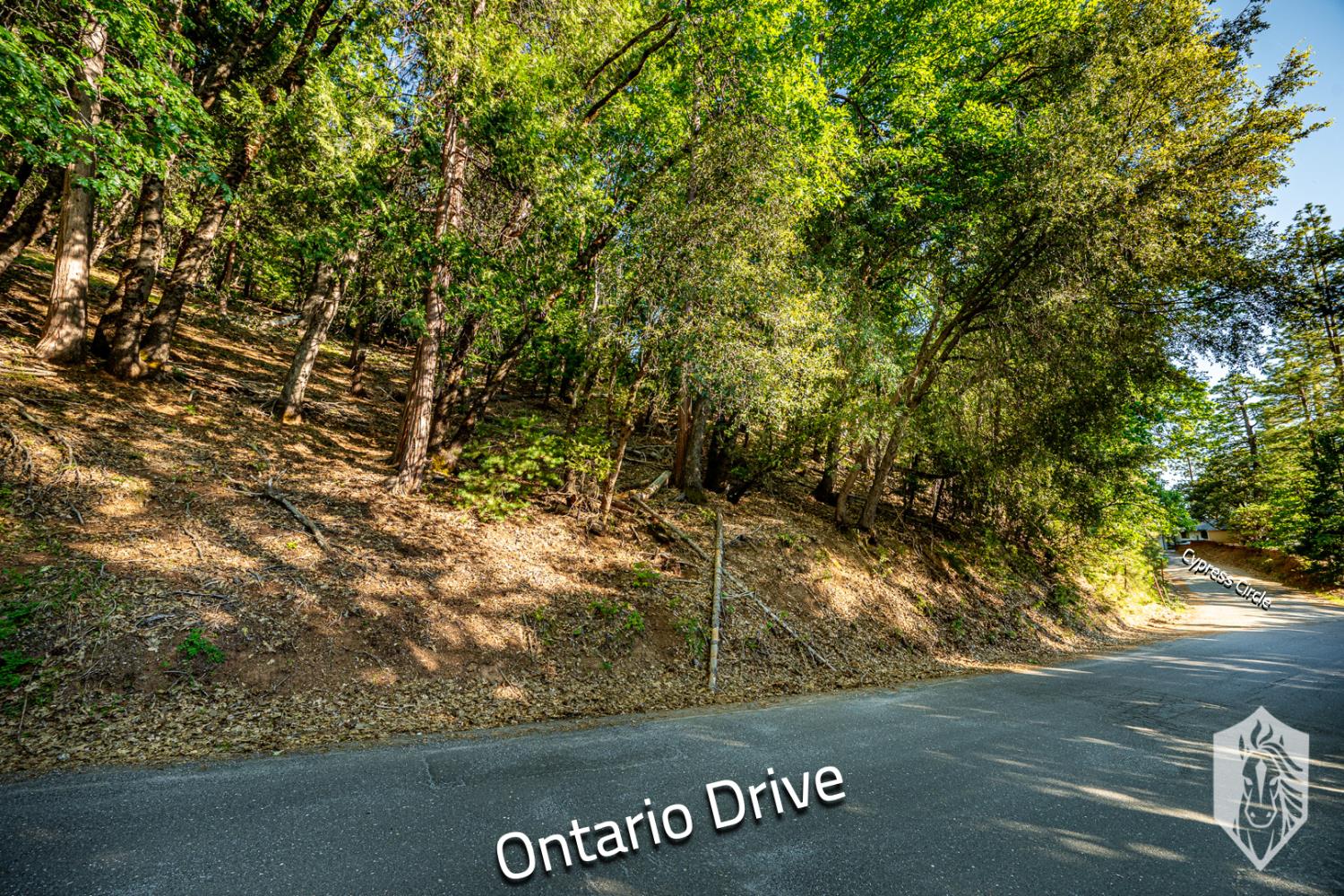 23475 Ontario Drive