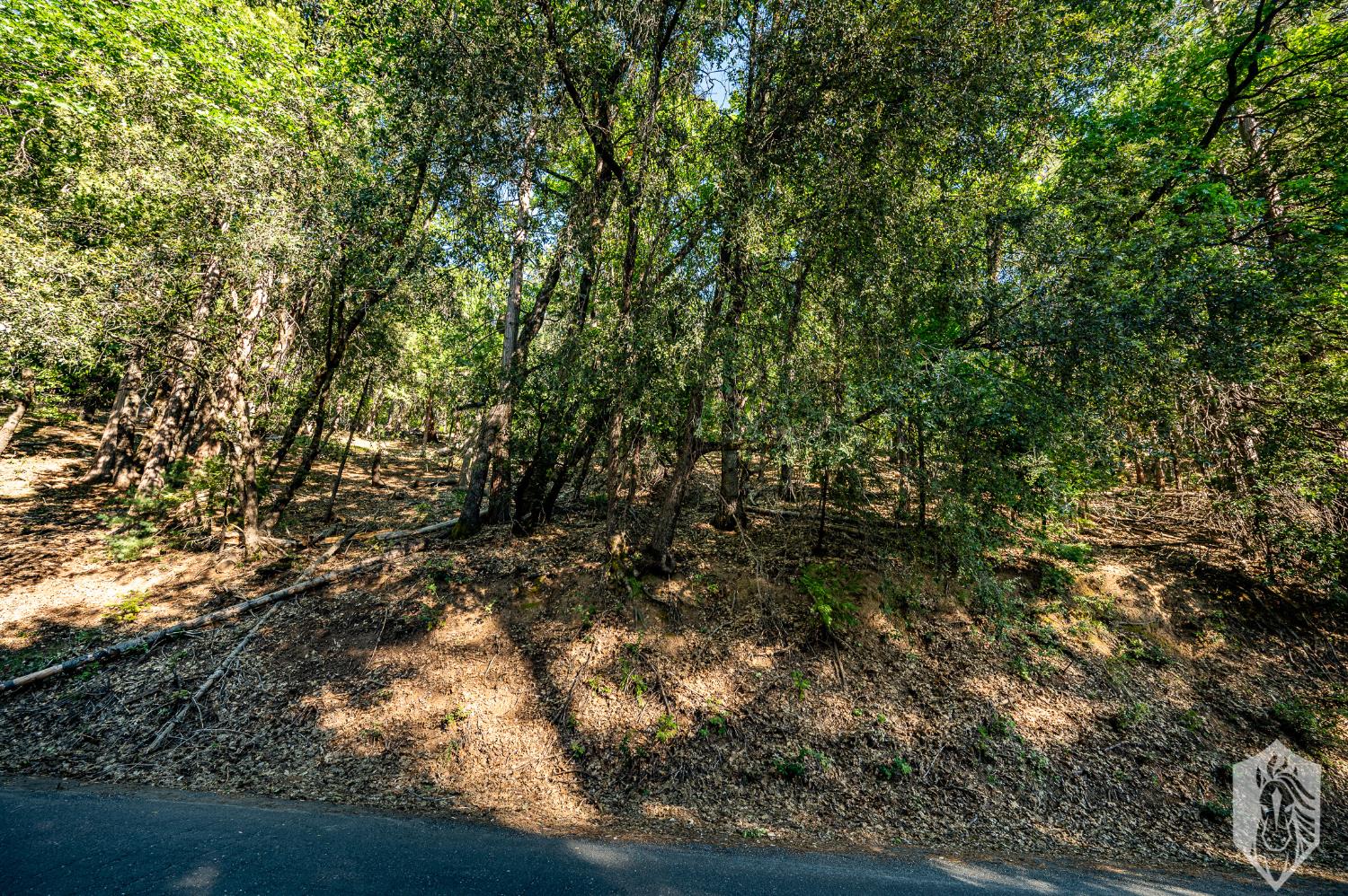 23475 Ontario Drive