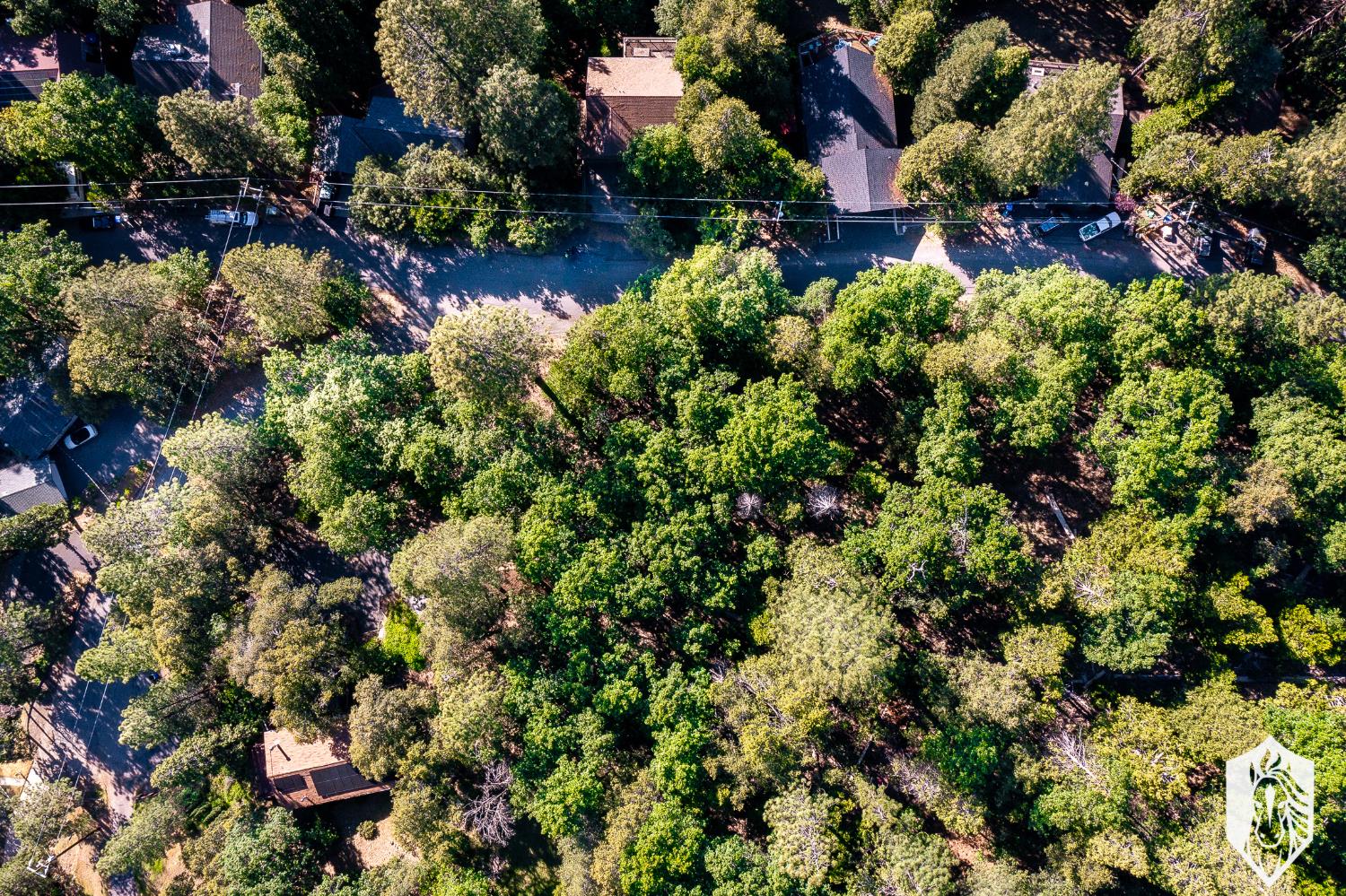23475 Ontario Drive