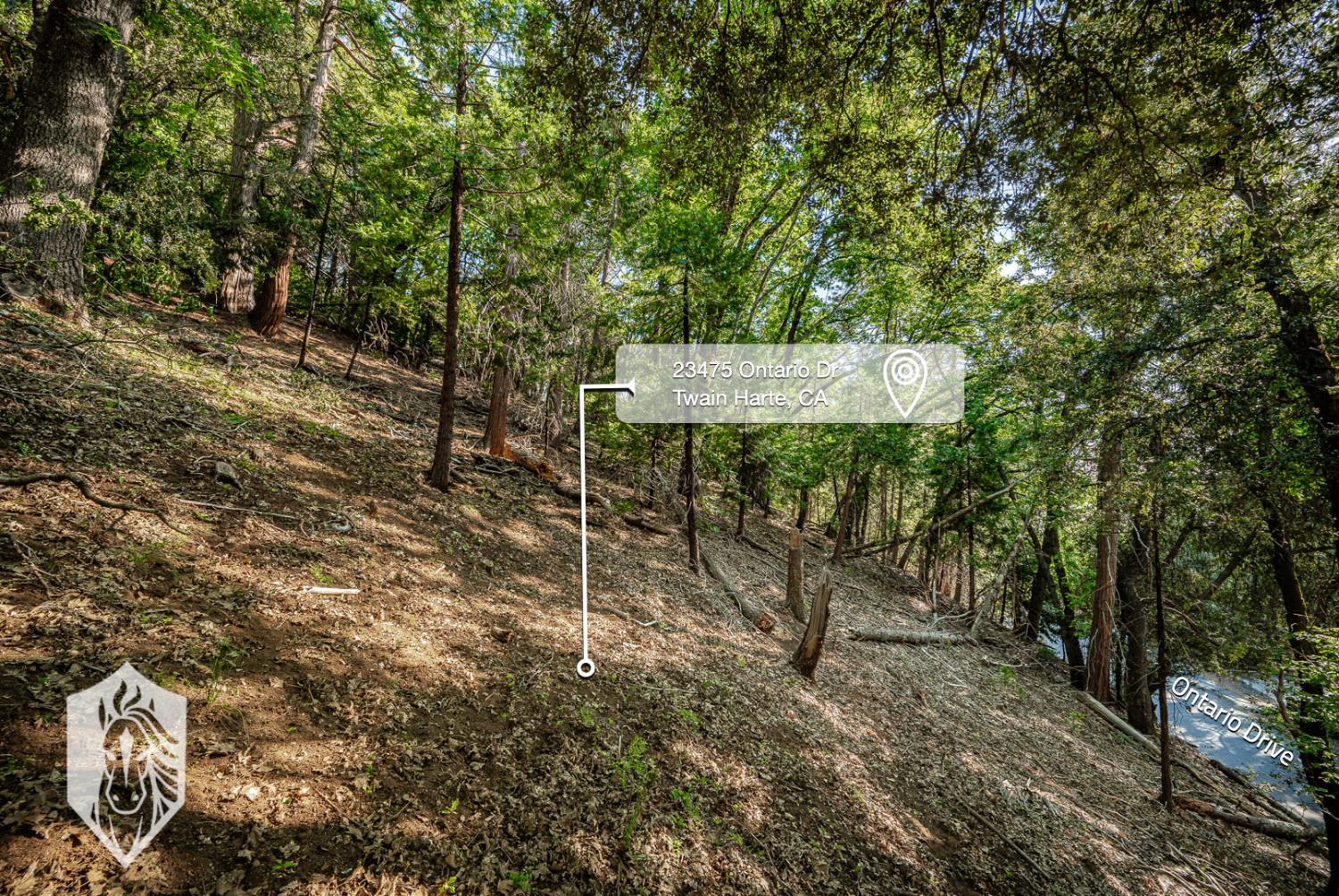 23475 Ontario Drive