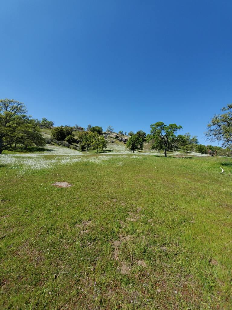 0 Spinecup Ridge