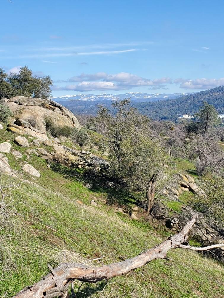 0 Spinecup Ridge
