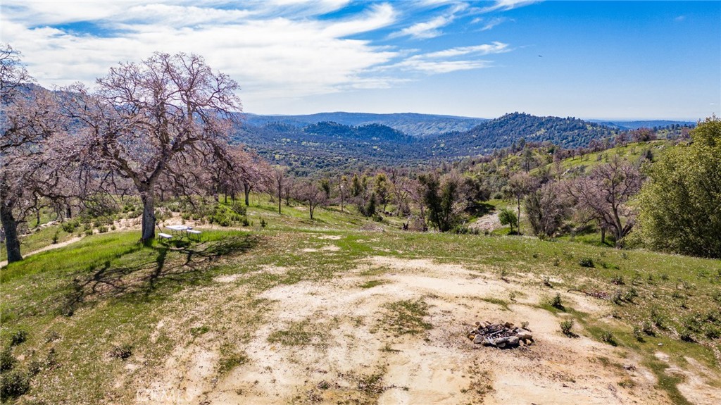 3831 Broncho Hollow Lane