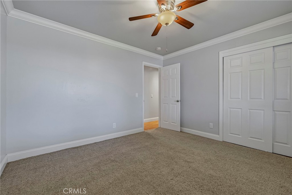 1445 Cameron Lane