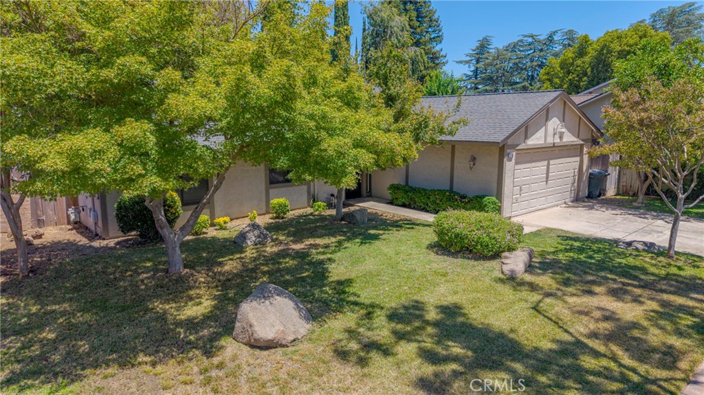1445 Cameron Lane