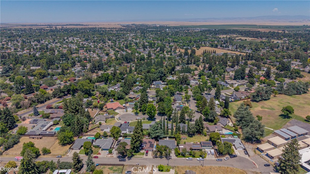 1445 Cameron Lane