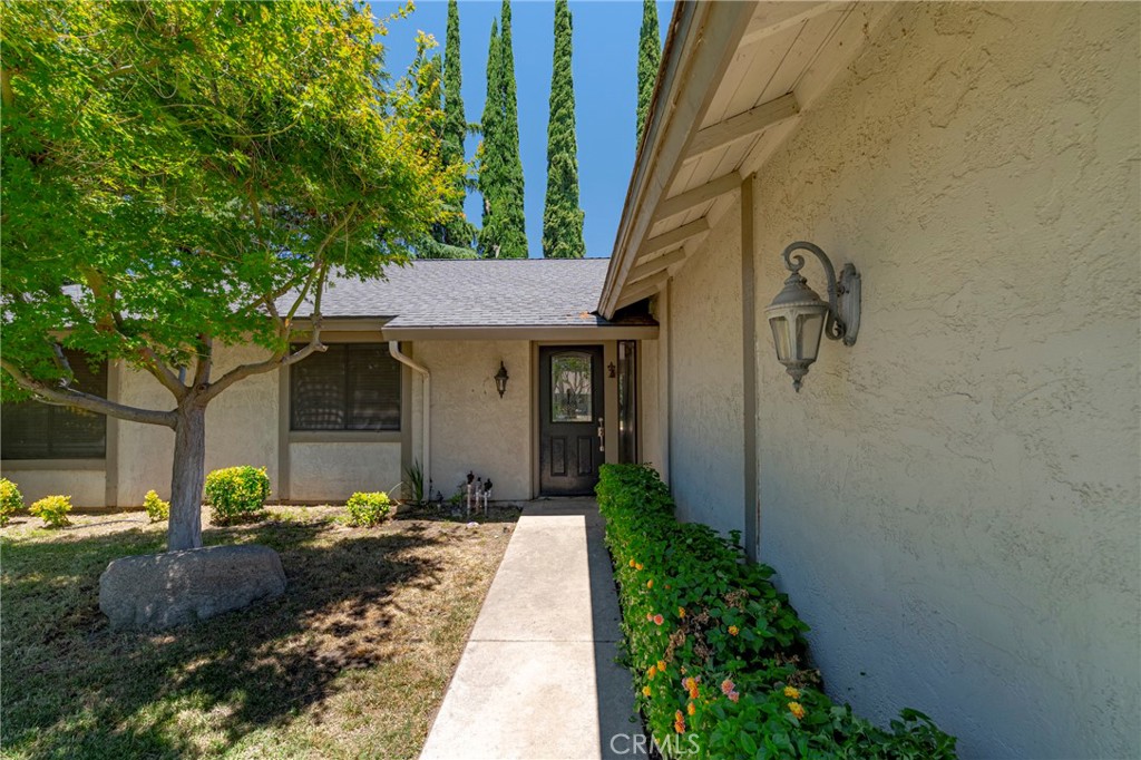 1445 Cameron Lane