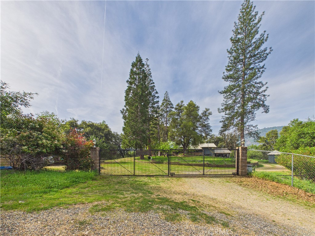 6650 Feliciana Mountain