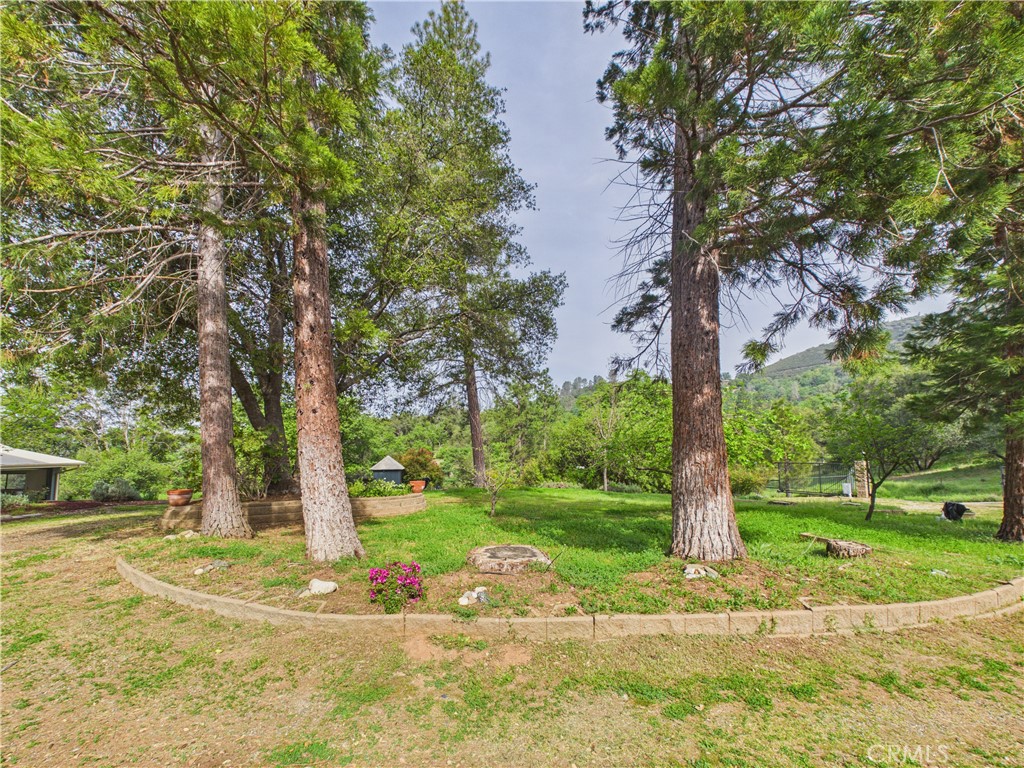 6650 Feliciana Mountain