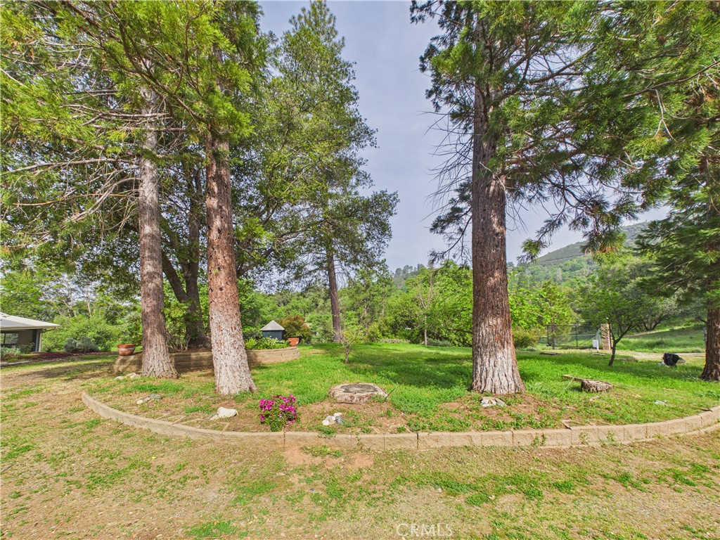 6650 Feliciana Mountain
