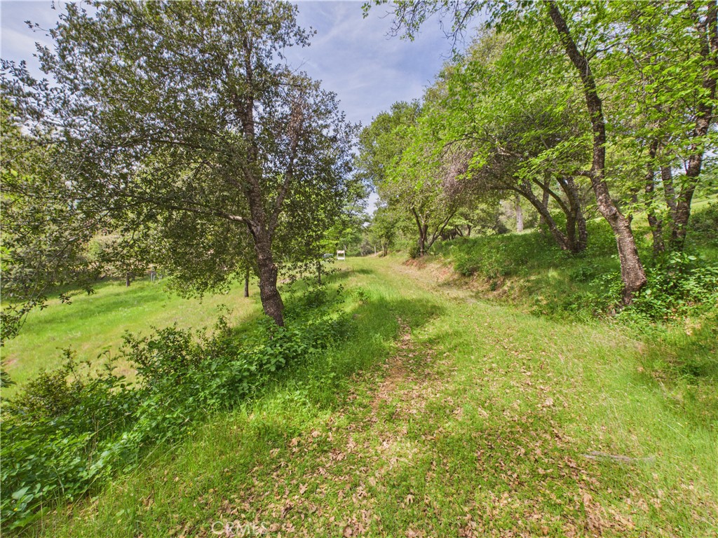 6650 Feliciana Mountain