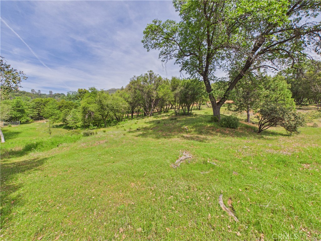 6650 Feliciana Mountain