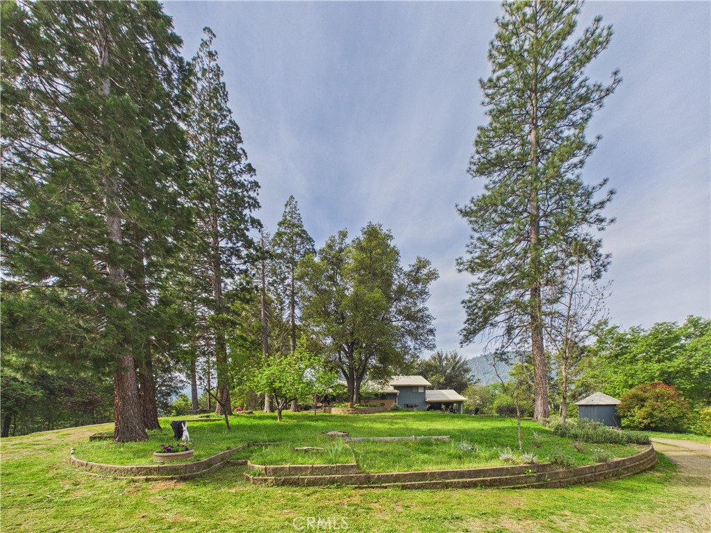 6650 Feliciana Mountain