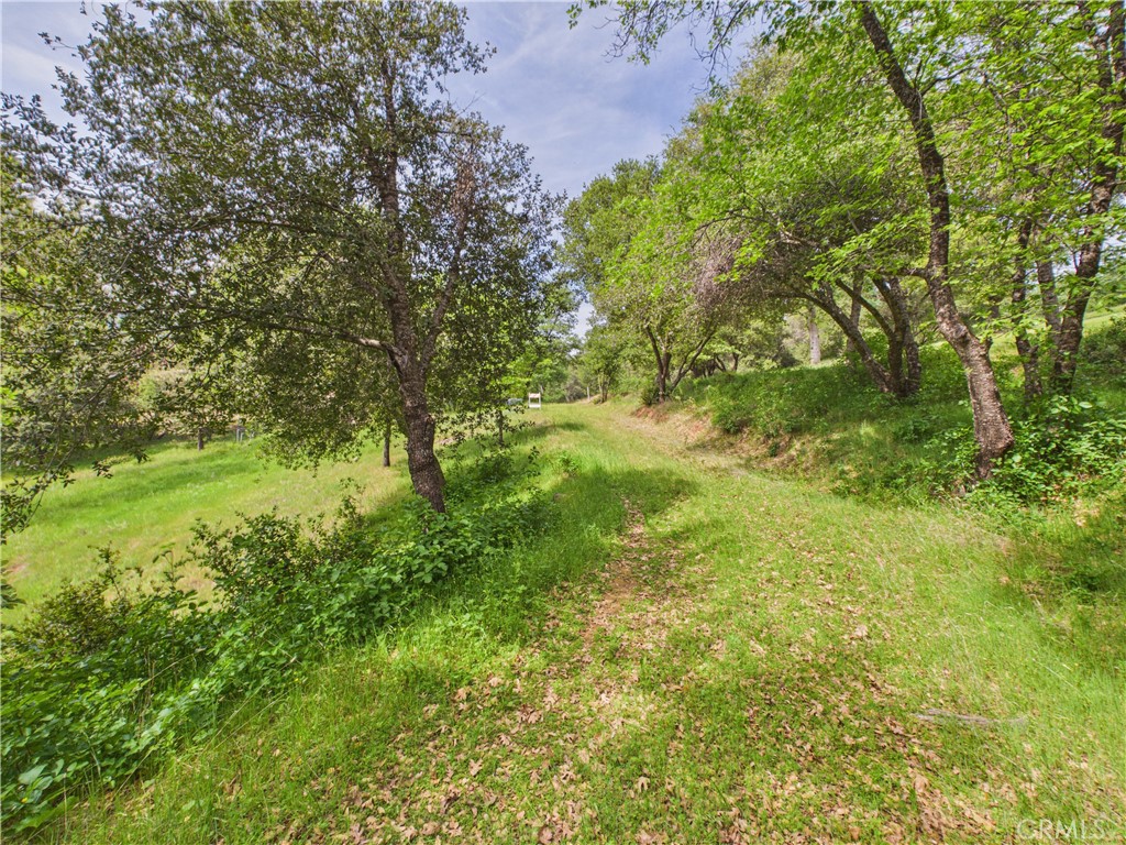 6650 Feliciana Mountain