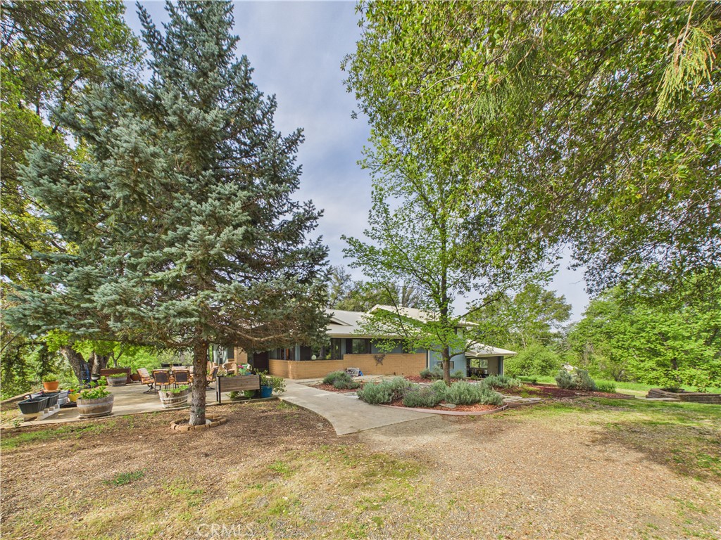 6650 Feliciana Mountain