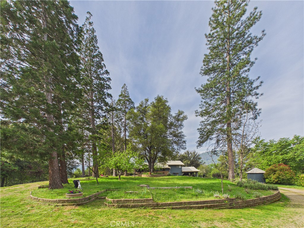 6650 Feliciana Mountain